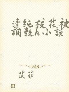 清纯校花被地狱调教h小说