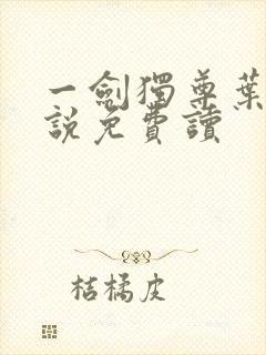 一剑独尊叶玄小说免费读