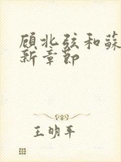 顾北弦和苏o最新章节