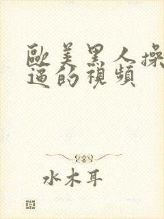 欧美黑人操白妞逼的视频