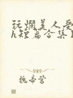 玩烂美人受【高h短篇合集】封面