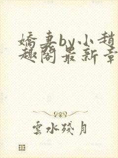 娇妻by小赵笔趣阁最新章节更新时间