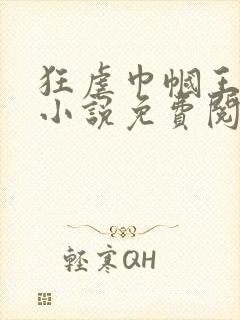 狂虐巾帼王安莉小说免费阅读全文