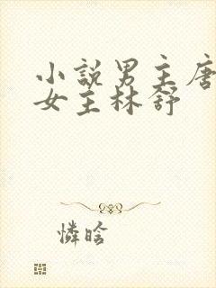 小说男主唐亦琛女主林舒