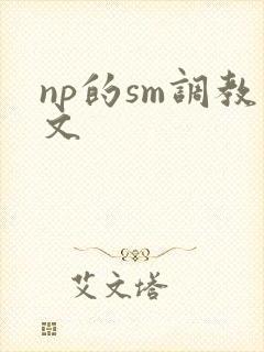 np的sm调教文