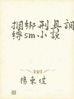 捆绑刑具调教束缚sm小说封面