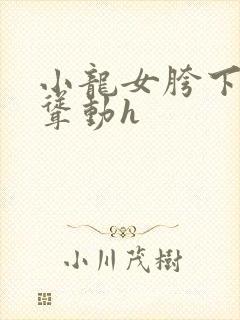 小龙女胯下娇喘耸动h