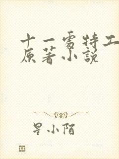 十一处特工皇妃原著小说封面