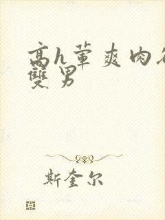 高h荤爽肉欲文双男