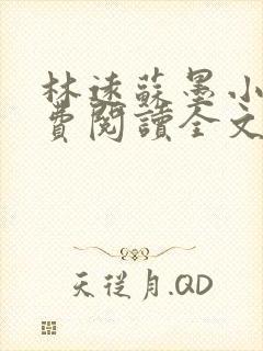 林远苏墨小说免费阅读全文最新章节