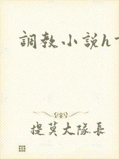 调教小说h重口封面