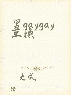 男gaygay互操
