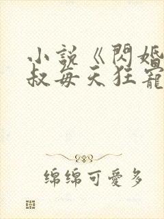 小说《闪婚后大叔每天狂宠我》封面