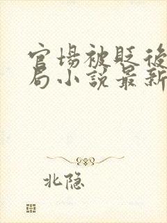 官场被贬后大结局小说最新章节