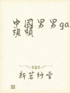 中国男男gay视频