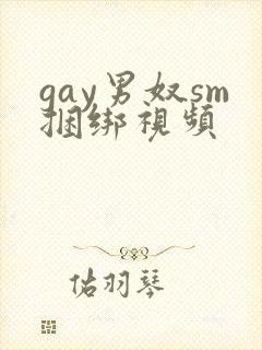gay男奴sm捆绑视频