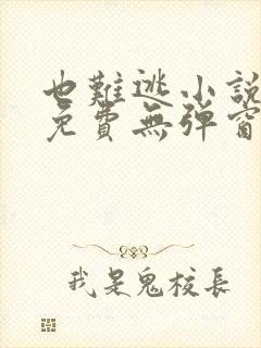 也难逃小说全文免费无弹窗