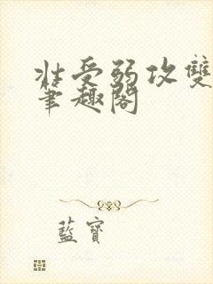 壮受弱攻双男主笔趣阁