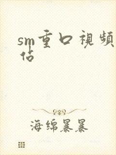 sm重口视频网站