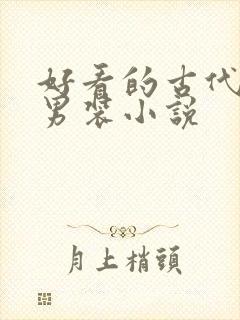 好看的古代女扮男装小说