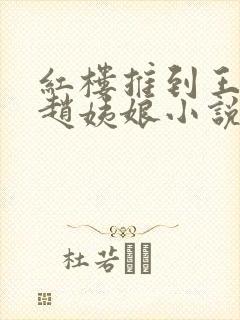 红楼推到王夫人赵姨娘小说