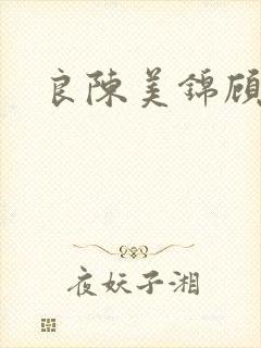 良陈美锦顾德昭封面