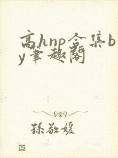 高hnp合集by笔趣阁