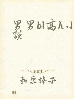 男男bl高h小说