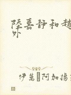 陆嘉静和赵念番外