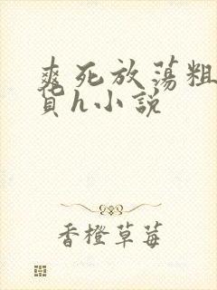 爽死放荡粗暴淫货h小说