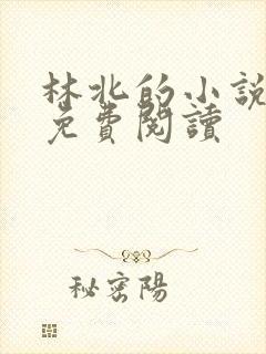 林北的小说全文免费阅读