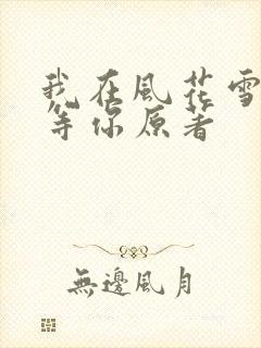 我在风花雪月里等你原著