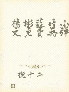 杨彬苏晴小说全文免费无弹窗阅读封面