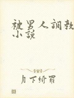 被男人调教sm小说