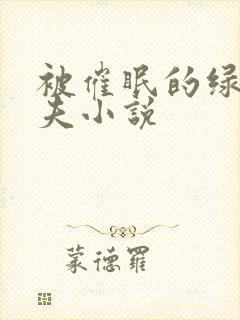 被催眠的绿帽夫夫小说