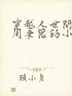 穿越人世间成为周秉昆的小说