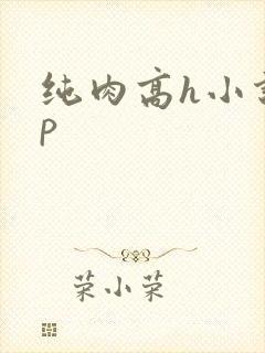 纯肉高h小说np
