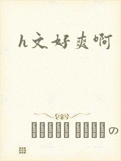 h文好爽啊封面
