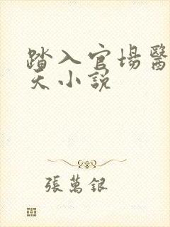 踏入官场医道问天小说