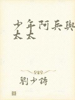 少年阿兵与房东太太