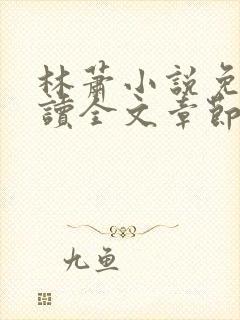 林萧小说免费阅读全文章节封面