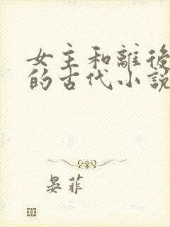 女主和离后二嫁的古代小说