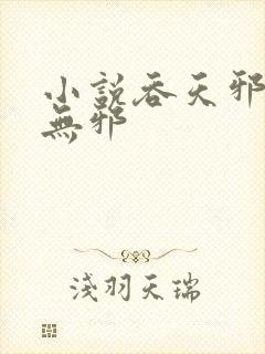 小说吞天邪尊柳无邪