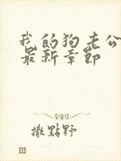 我的狗老公小说最新章节