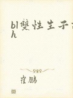 bl双性生子高h封面