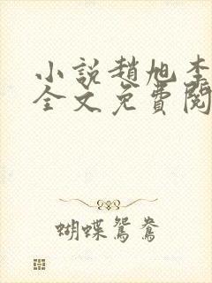 小说赵旭李晴晴全文免费阅读