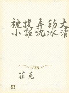 被捉弄的大小姐小说沈冰清免费阅读