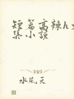 短篇高辣h文合集小说
