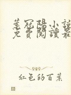 叶冠阳小说全文免费阅读最新章节