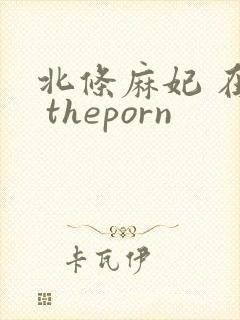 北条麻妃 在线 theporn封面